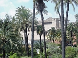 Alcazar De Sevilla 15